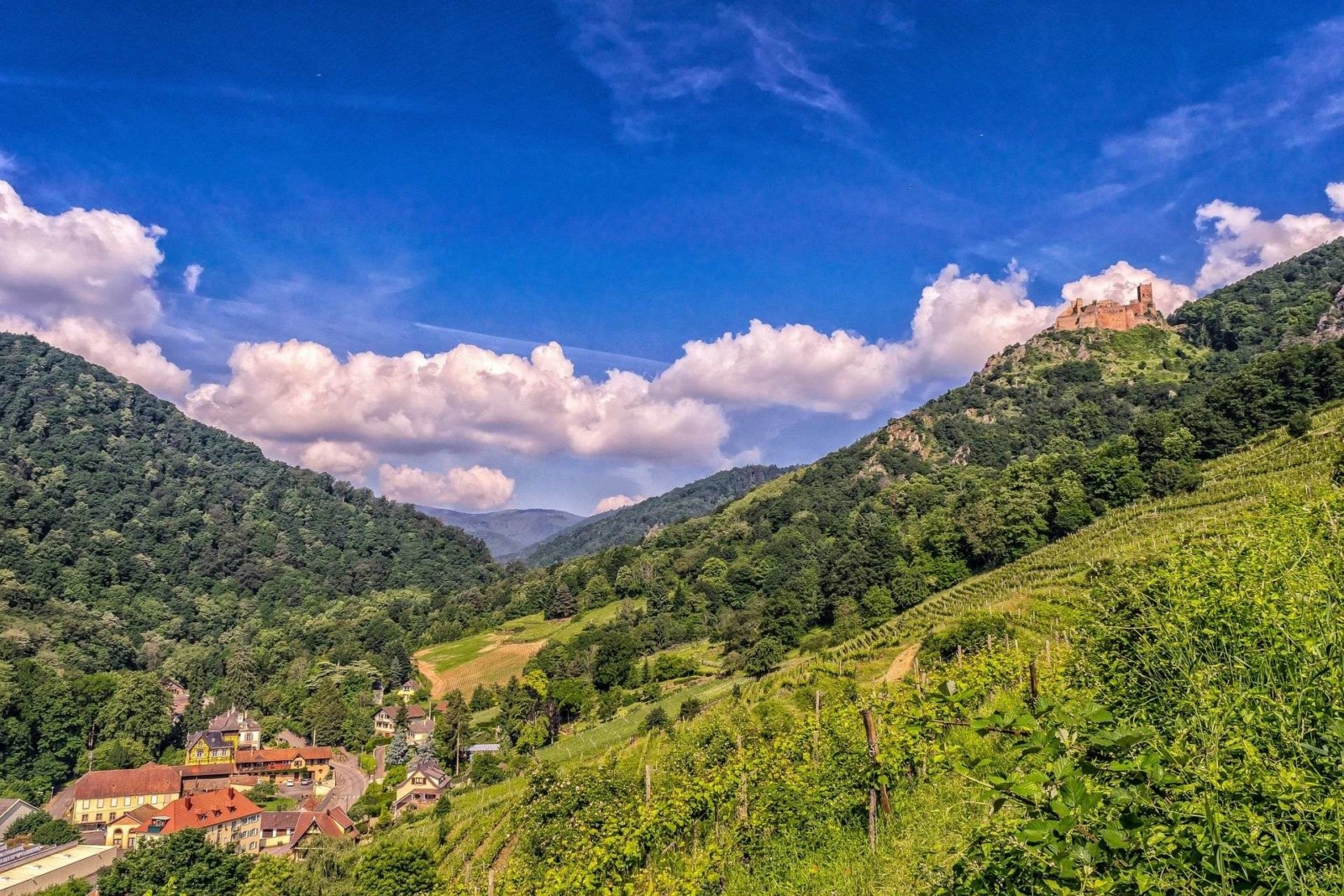 Ribeauville alsasmartours